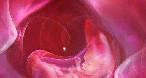 多囊卵巢者做试管容易怀孕吗？成功率有多高？