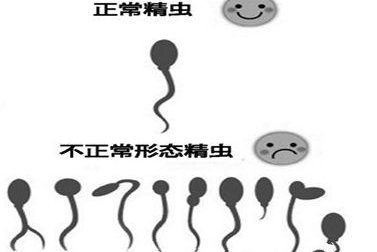 孝感市妇幼保健院试管费用要多少？费用明细表分享