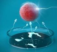 广东韶关市哪家医院可以做试管？广东珠海有提供试管技术怀孕的正规医院吗？