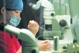 2026常宁市最新男性陪产假有多少天？试管婴儿可以增加产假吗？