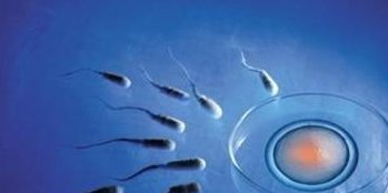 绍兴地区有哪些私立的机构可以做试管技术？网上说做试管婴儿出生的小孩自闭症发病率高是真的吗？